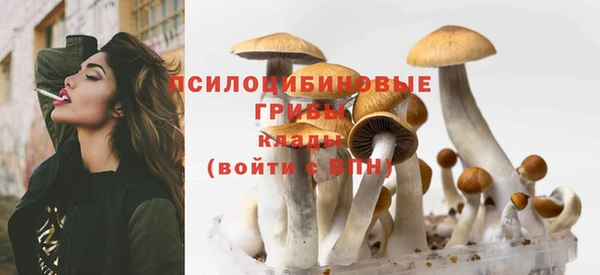 apvp Алзамай