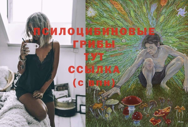 mdpv Алексеевка